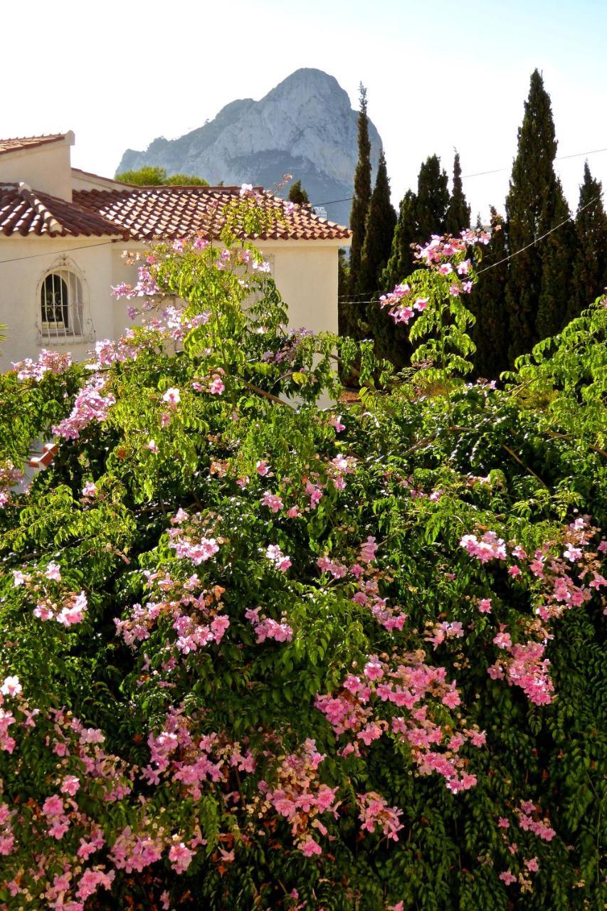 Villa Benavero Boutique Style Within Fenced Tropical Garden Calpe Kültér fotó